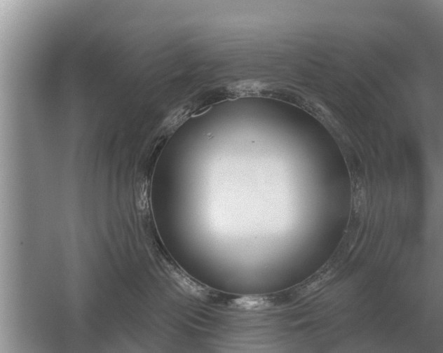 X0000052540477200507152137