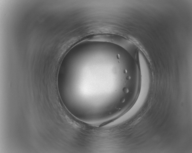 X0000052540481200507152137