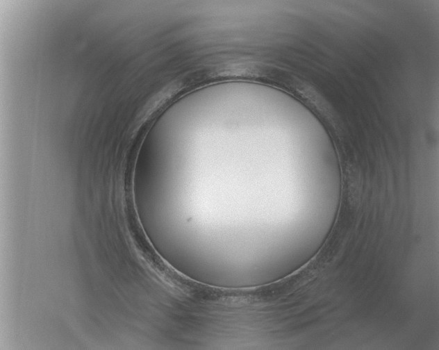 X0000052540482200507152137