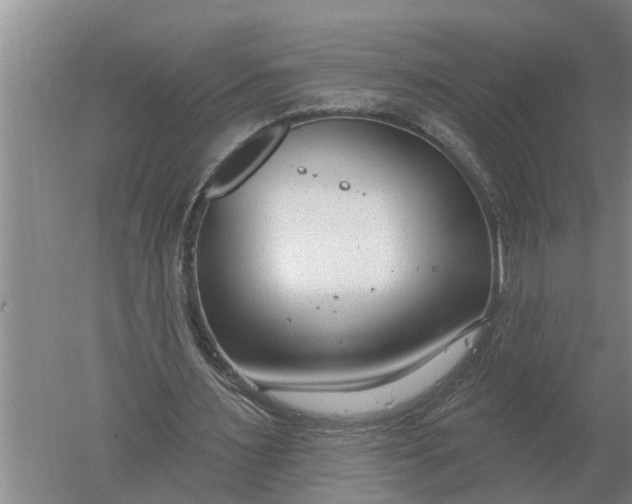 X0000052540483200507152137