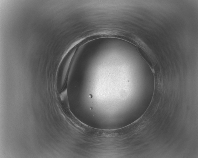 X0000052540484200507152137