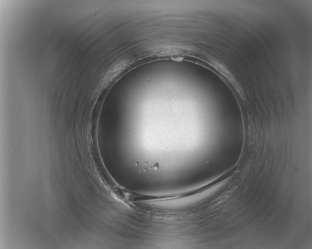 X0000052540485200507152137