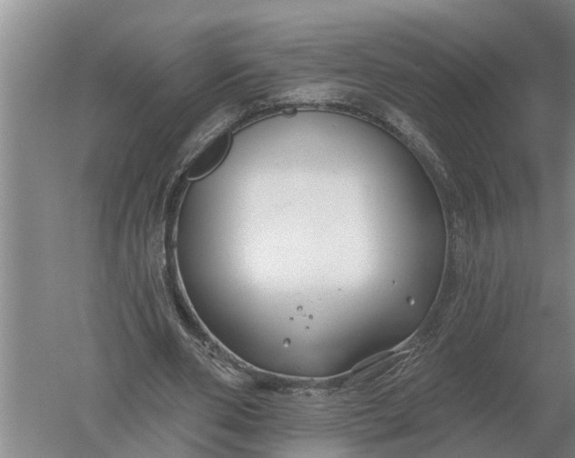 X0000052540486200507152137