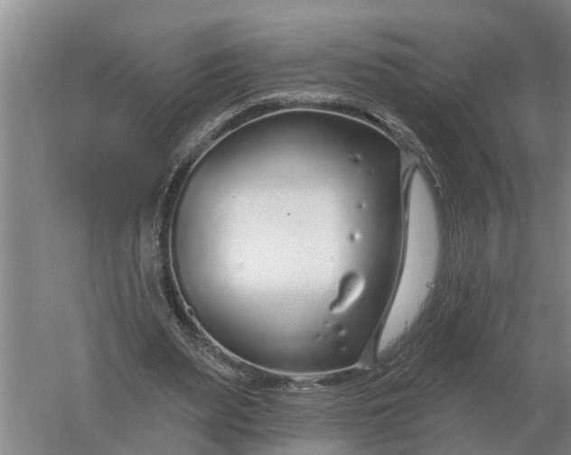 X0000052540487200507152137