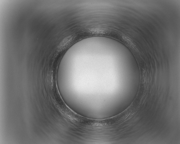 X0000052540494200507152136