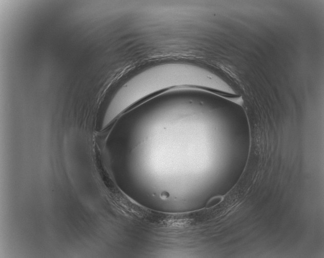 X0000052540495200507152136