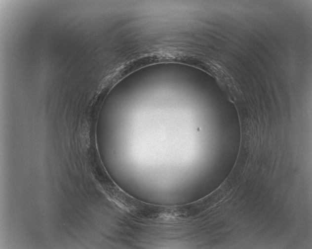 X0000052540496200507152136