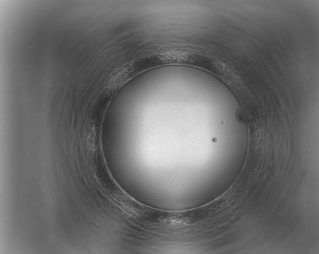 X0000052540498200507152136