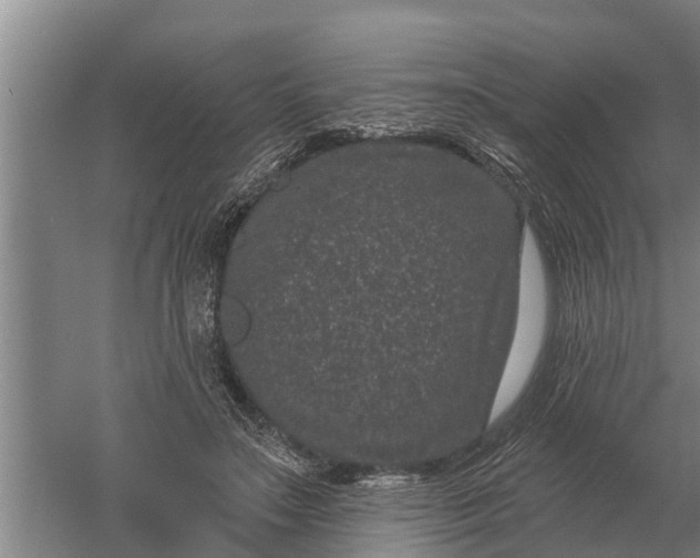 X0000052540499200507152136