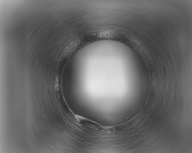 X0000052540502200507152136