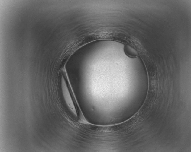 X0000052540503200507152136