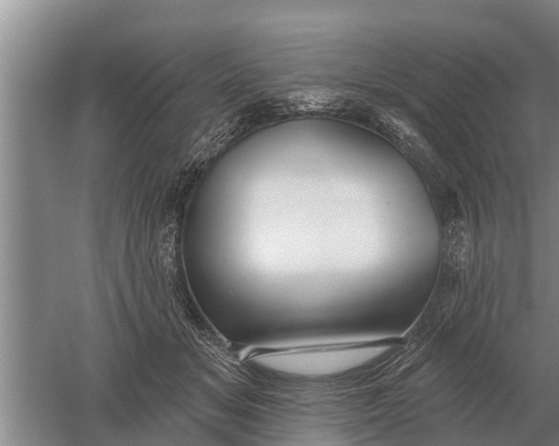 X0000052540509200507152136