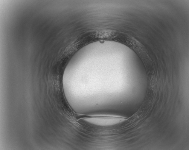 X0000052540510200507152136