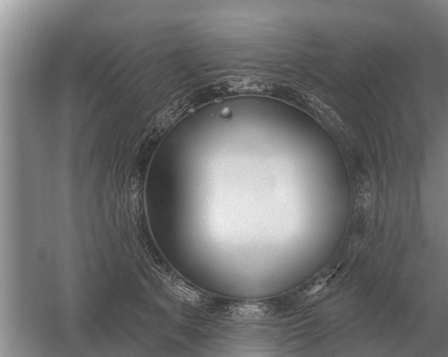 X0000052540513200507152136