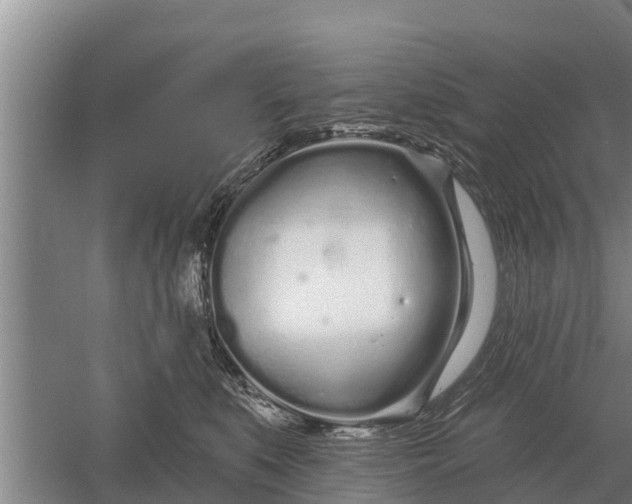 X0000052540519200507152136