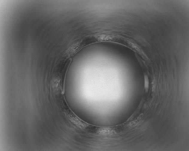 X0000052540521200507152136