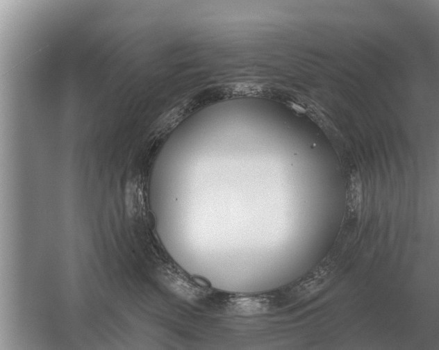 X0000052540522200507152136