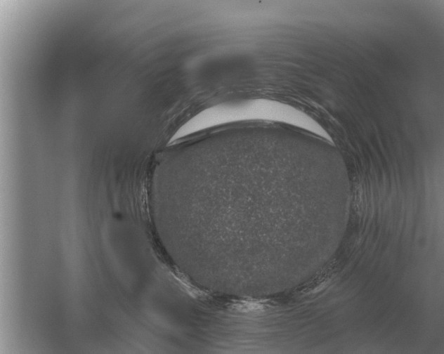 X0000052540523200507152136