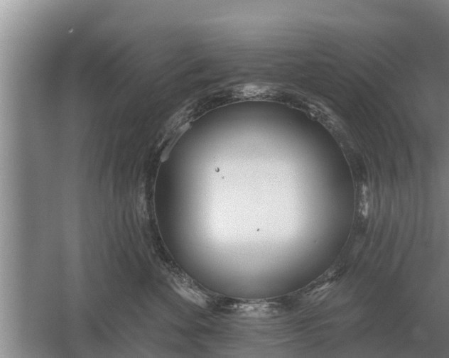 X0000052540524200507152136