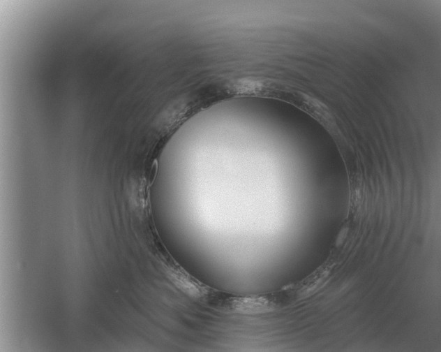 X0000052540525200507152136