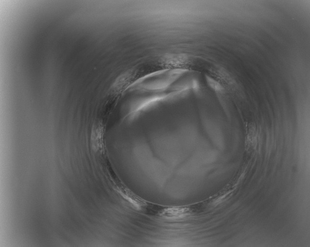 X0000052540526200507152136