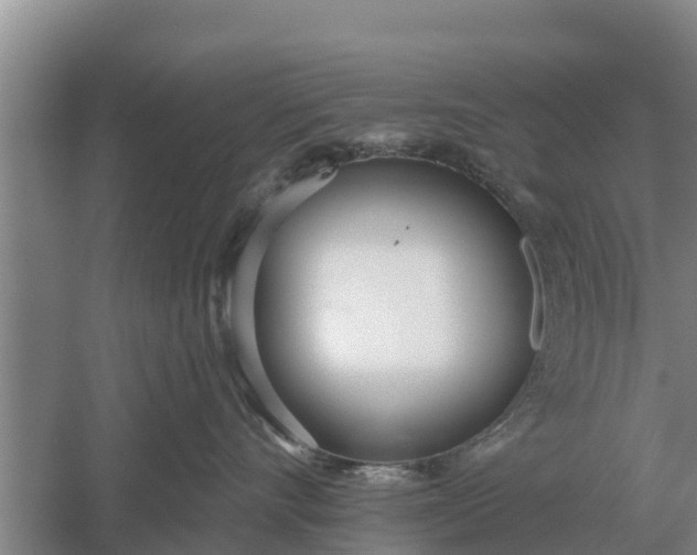 X0000052540528200507152136