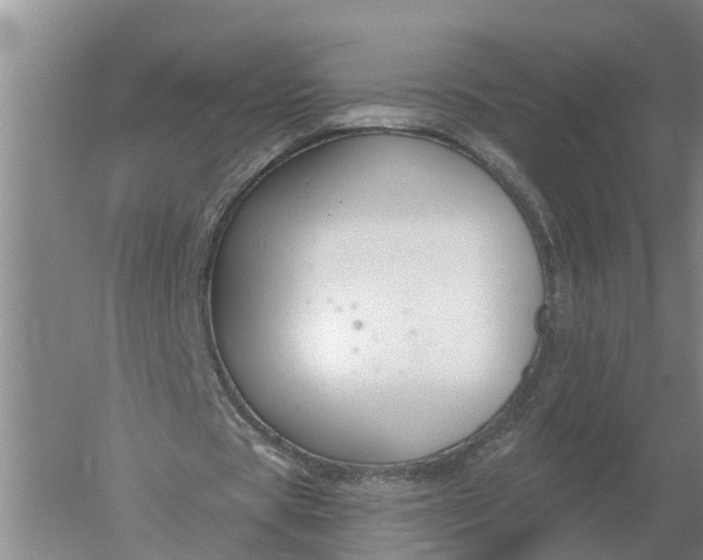 X0000052540529200507152135