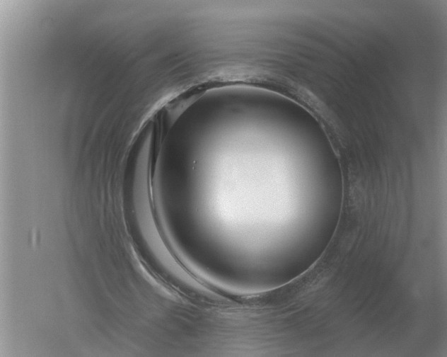 X0000052540530200507152135