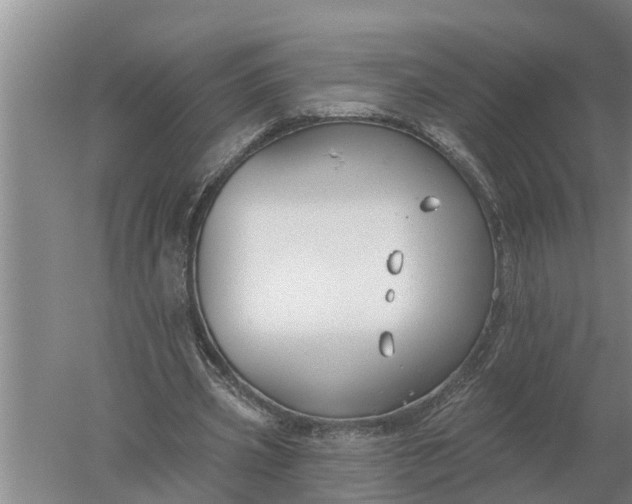 X0000052540533200507152135