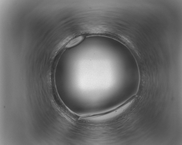 X0000052540535200507152135