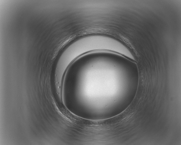 X0000052540538200507152135