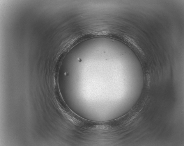 X0000052540541200507152135