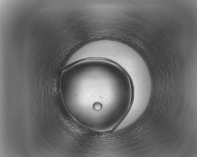 X0000052540546200507152135