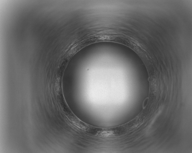 X0000052540554200507152135