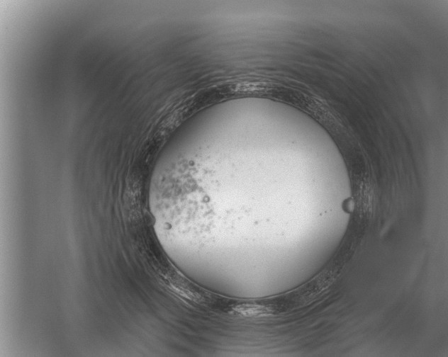 X0000052540557200507152136