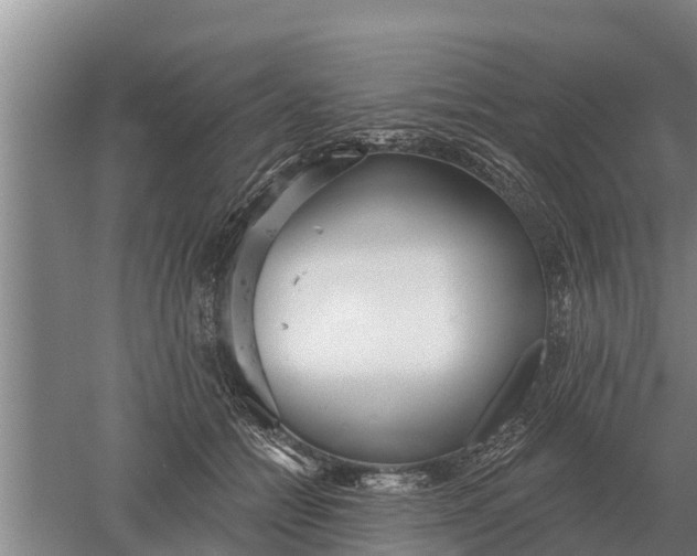 X0000052540558200507152136