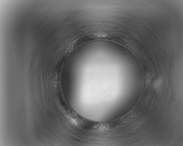 X0000052540559200507152136