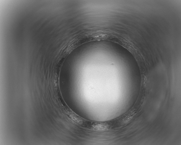 X0000052540561200507152136