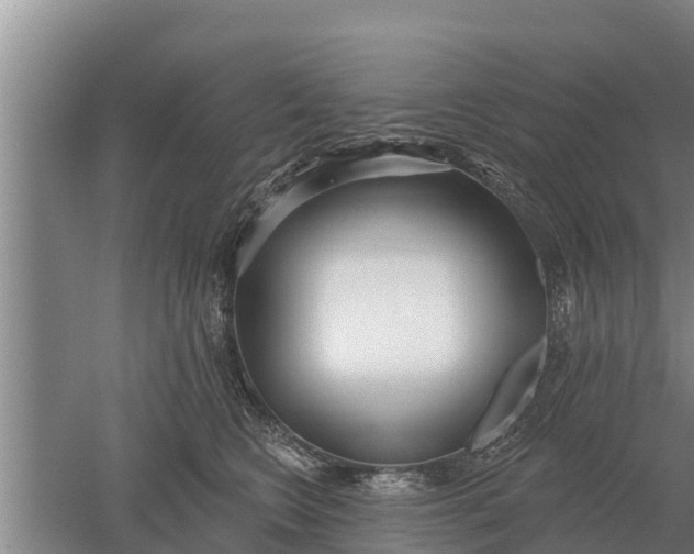 X0000052540566200507152136