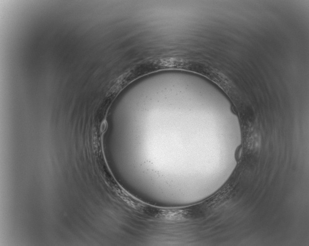 X0000052540569200507152136