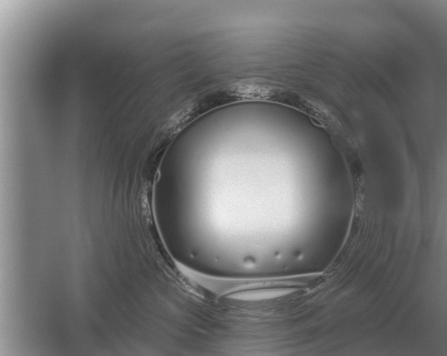 X0000052540573200507152136