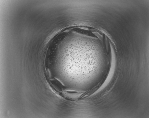 X0000052540577200507152135