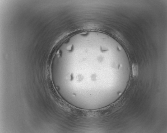 X0000052540579200507152135