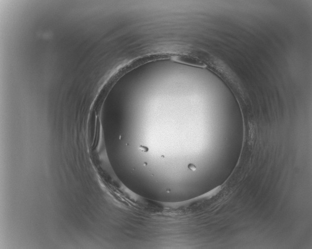 X0000052540580200507152135