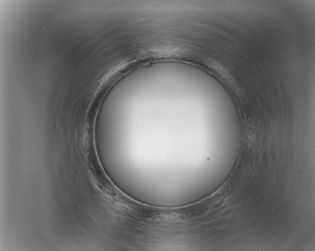 X0000052540583200507152135