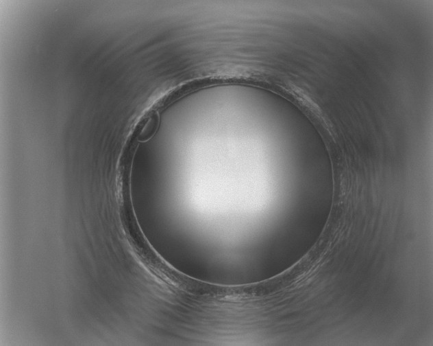 X0000052540584200507152135