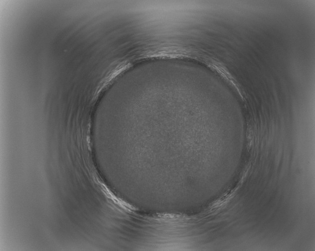 X0000052540585200507152135