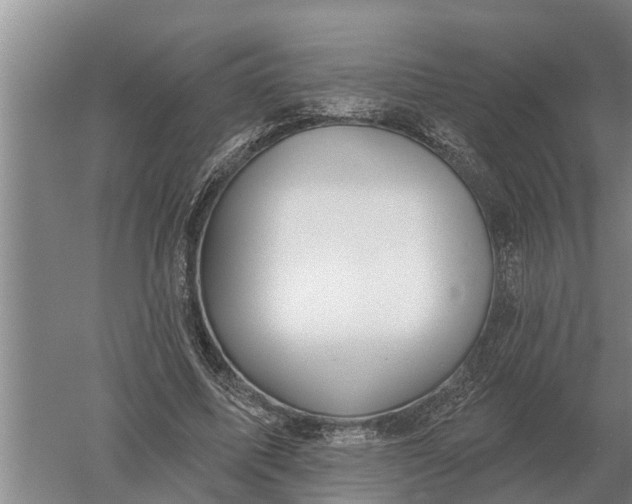 X0000052540587200507152135