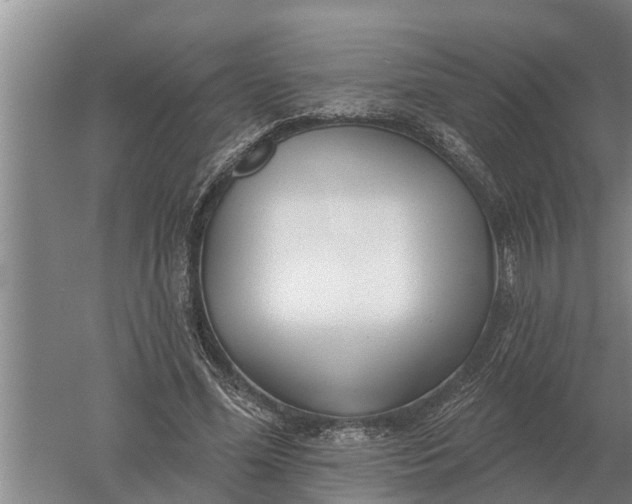 X0000052540588200507152135