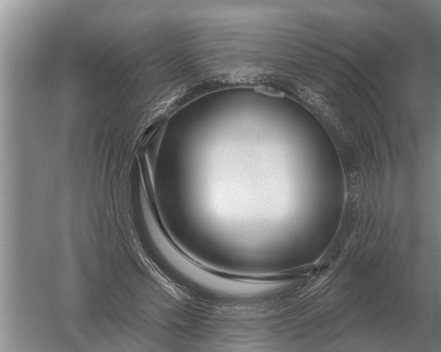 X0000052540589200507152135